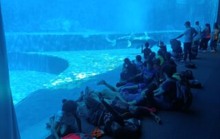 Bambini in uscita all'acquario grazie alla donazione