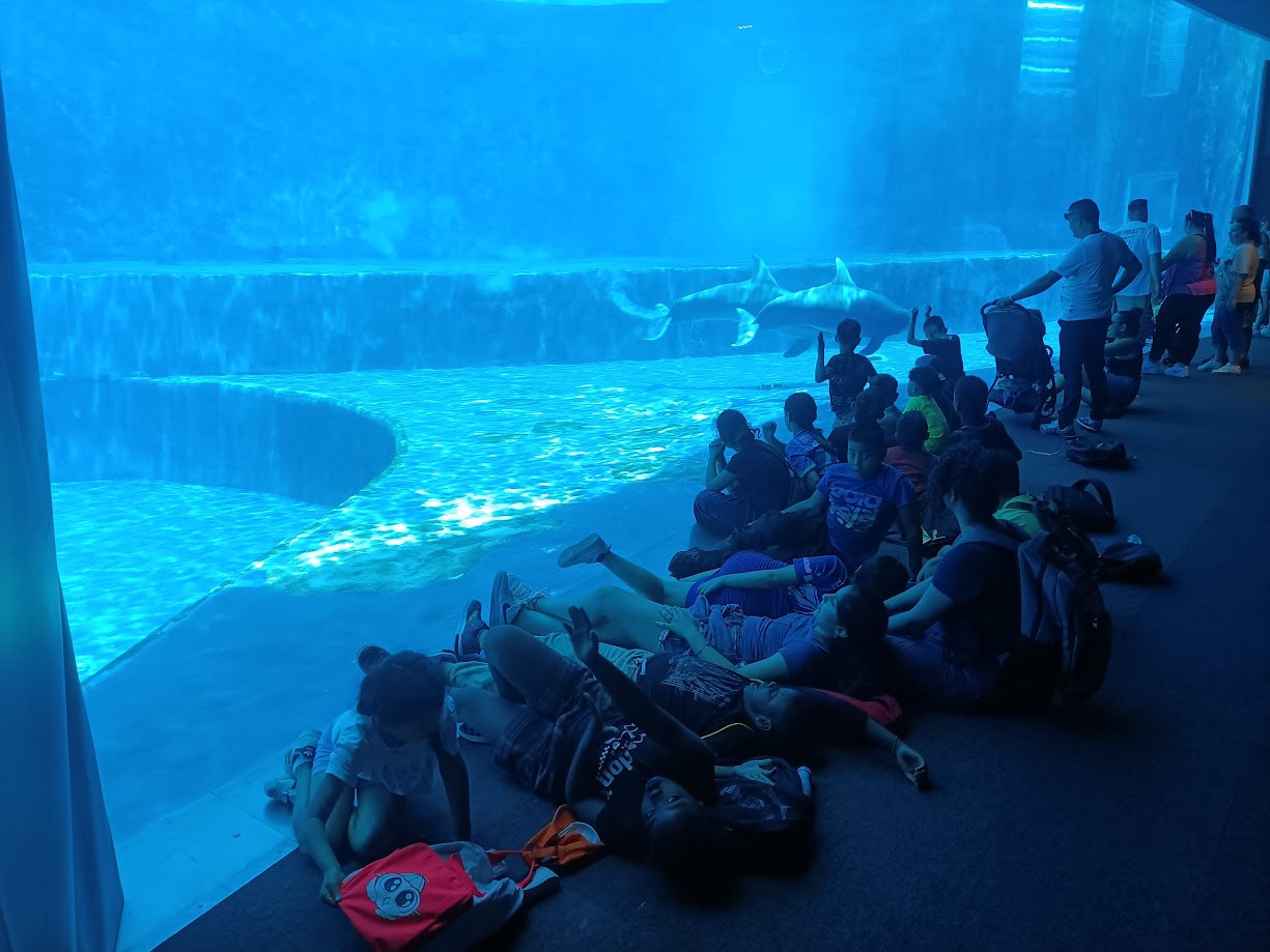 Bambini in uscita all'acquario grazie alla donazione